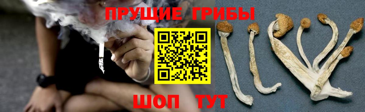 Псилоцибиновые грибы ЛСД  Галлюциногенные грибы ЛСД  продажа наркотиков  Мелеуз  Вход с VPN 
